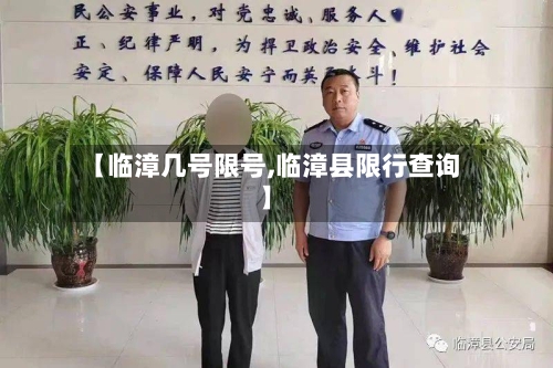 【临漳几号限号,临漳县限行查询】-第2张图片