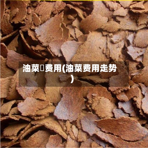 油菜秄费用(油菜费用走势)