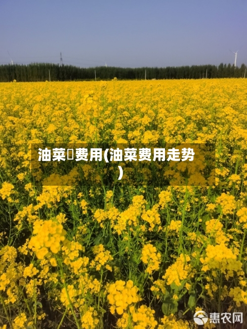 油菜秄费用(油菜费用走势)-第2张图片