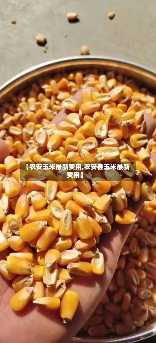 【农安玉米最新费用,农安县玉米最新费用】