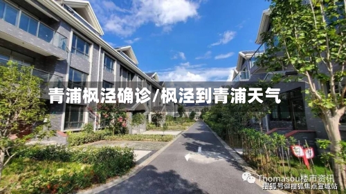 青浦枫泾确诊/枫泾到青浦天气-第2张图片