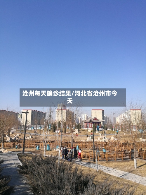 沧州每天确诊结果/河北省沧州市今天