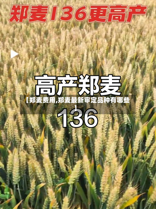 【郑麦费用,郑麦最新审定品种有哪些】
