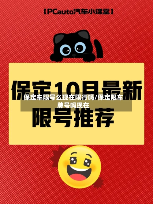 保定车限号么现在限行吗/保定限车牌号吗现在-第2张图片