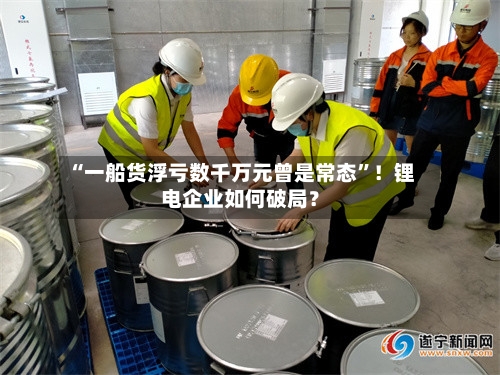 “一船货浮亏数千万元曾是常态”！锂电企业如何破局？-第2张图片