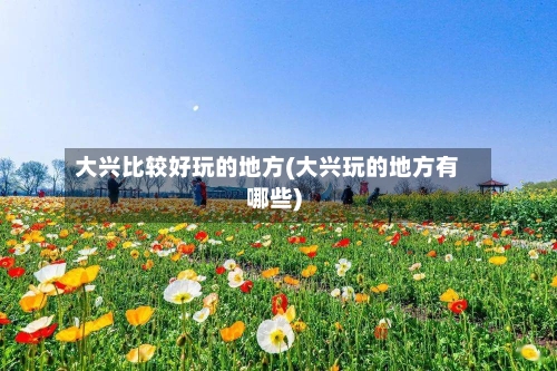 大兴比较好玩的地方(大兴玩的地方有哪些)
