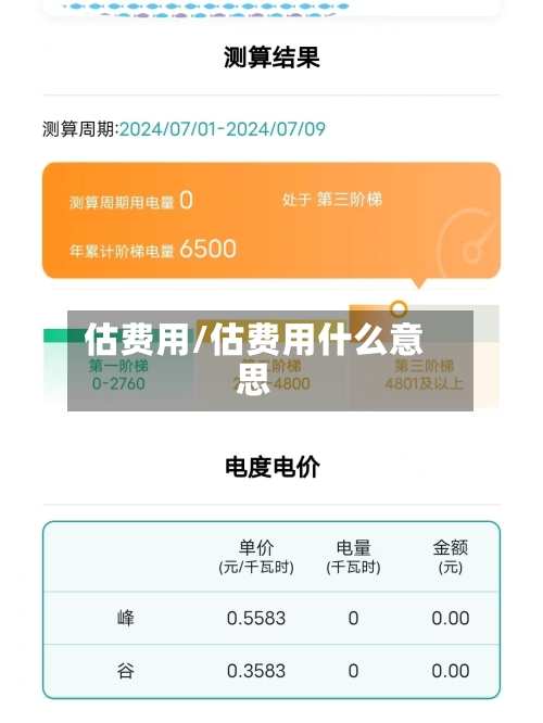 估费用/估费用什么意思-第3张图片