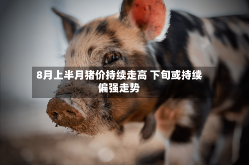 8月上半月猪价持续走高 下旬或持续偏强走势-第2张图片