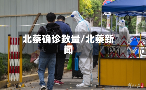 北蔡确诊数量/北蔡新闻