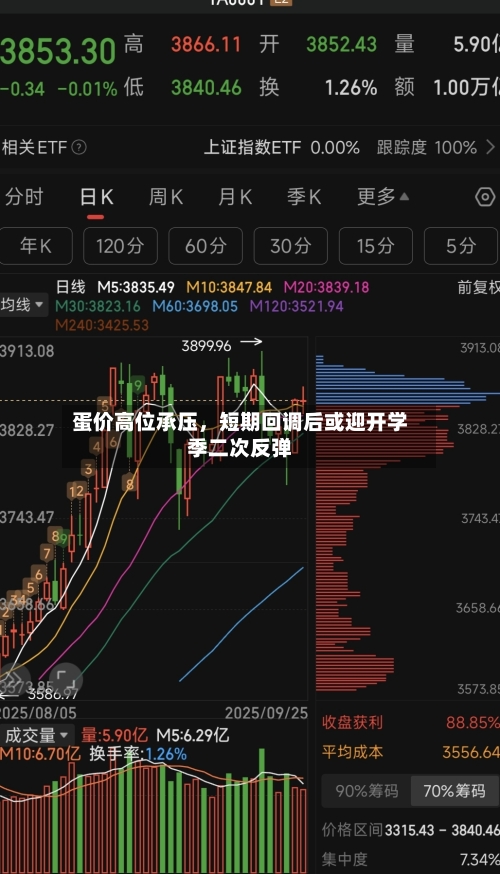 蛋价高位承压，短期回调后或迎开学季二次反弹-第1张图片