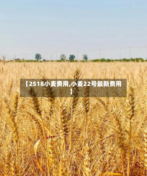 【2518小麦费用,小麦22号最新费用】-第3张图片