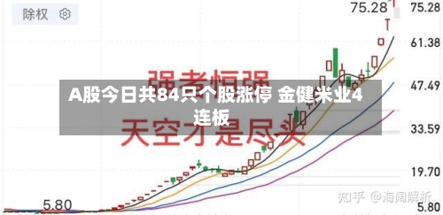 A股今日共84只个股涨停 金健米业4连板