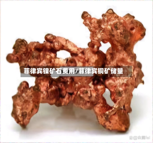 菲律宾镍矿石费用/菲律宾铜矿储量