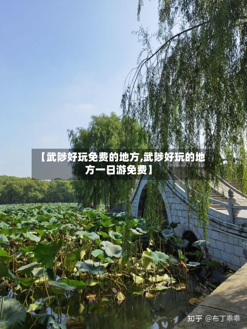 【武陟好玩免费的地方,武陟好玩的地方一日游免费】-第2张图片