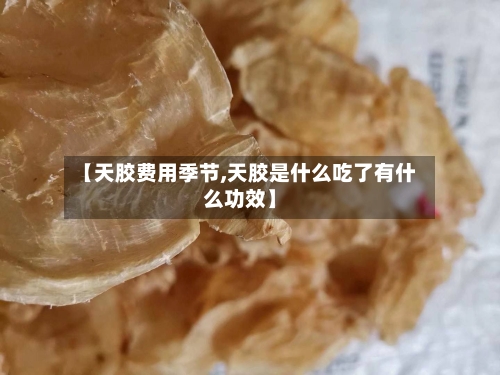 【天胶费用季节,天胶是什么吃了有什么功效】