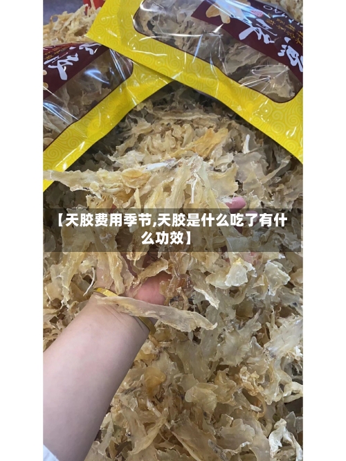 【天胶费用季节,天胶是什么吃了有什么功效】-第2张图片