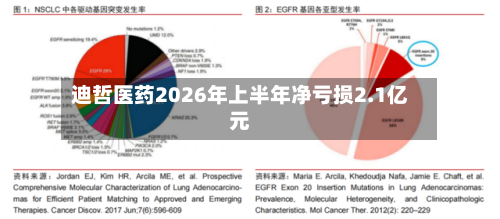 迪哲医药2026年上半年净亏损2.1亿元