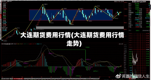 大连期货费用行情(大连期货费用行情走势)