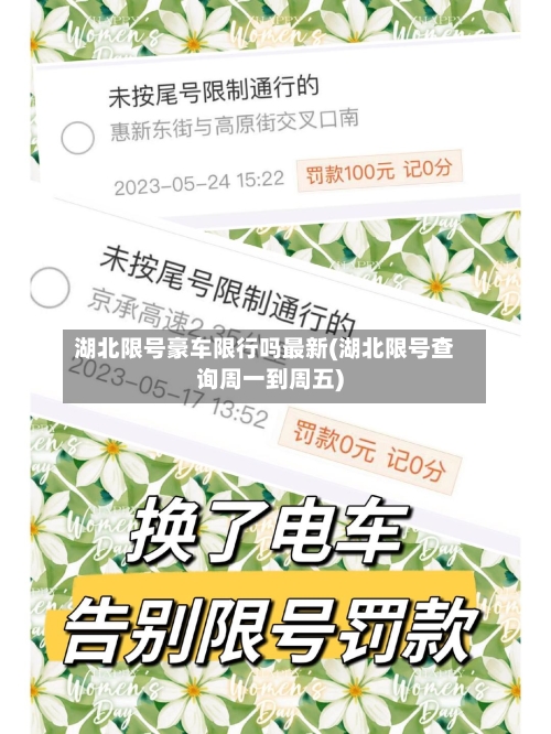 湖北限号豪车限行吗最新(湖北限号查询周一到周五)