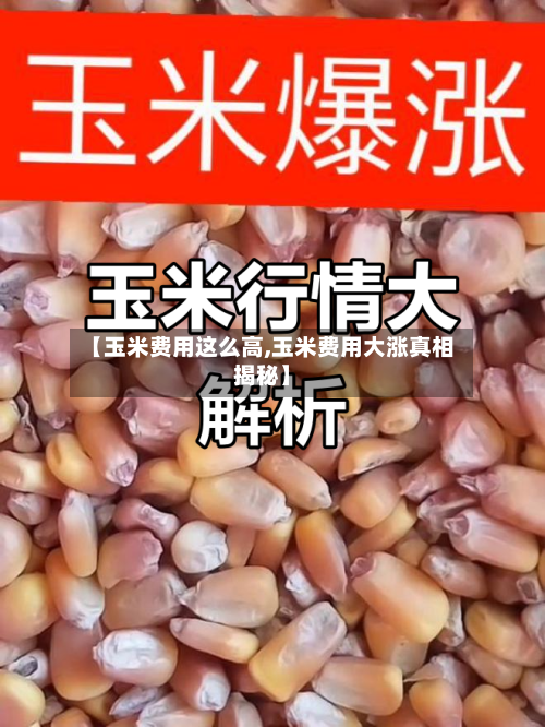 【玉米费用这么高,玉米费用大涨真相揭秘】
