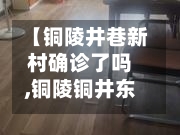 【铜陵井巷新村确诊了吗,铜陵铜井东路东延效果图】