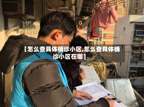 【怎么查具体确诊小区,怎么查具体确诊小区在哪】-第3张图片