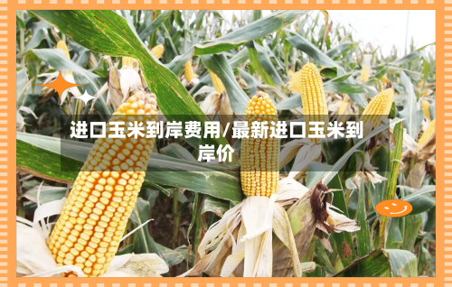 进口玉米到岸费用/最新进口玉米到岸价-第2张图片