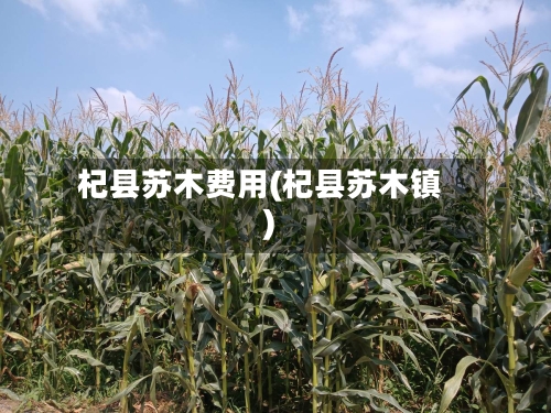杞县苏木费用(杞县苏木镇)-第3张图片