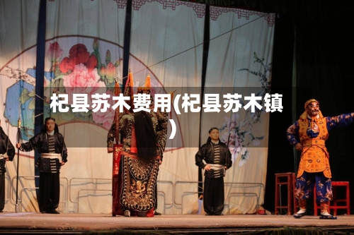 杞县苏木费用(杞县苏木镇)