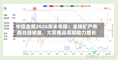 中信金属2026年半年报：全球矿产布局兑现收益，大宗商品周期助力增长-第1张图片