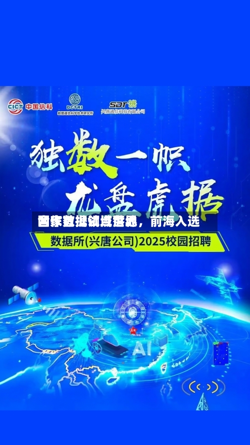 国家数据领域世界合作首批试点落地，前海入选-第2张图片