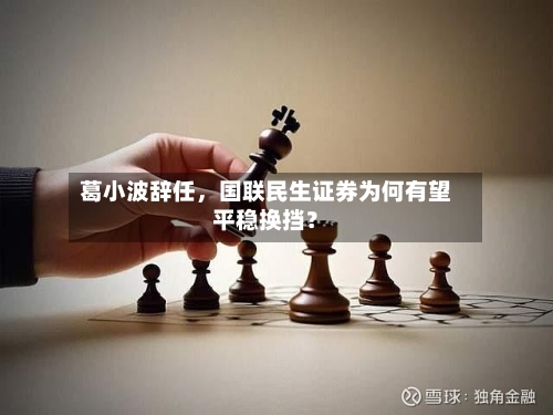 葛小波辞任，国联民生证券为何有望平稳换挡？
