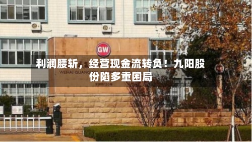 利润腰斩，经营现金流转负！九阳股份陷多重困局-第3张图片