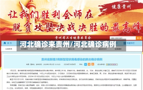 河北确诊来贵州/河北确诊病例