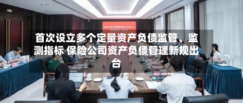 首次设立多个定量资产负债监管、监测指标 保险公司资产负债管理新规出台-第2张图片