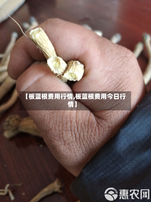 【板蓝根费用行情,板蓝根费用今日行情】-第3张图片
