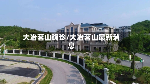 大冶茗山确诊/大冶茗山最新消息-第3张图片