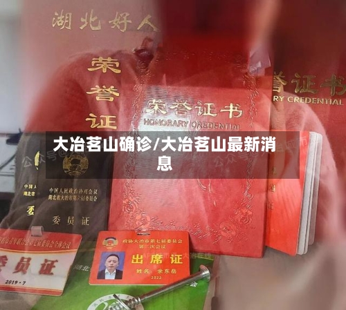 大冶茗山确诊/大冶茗山最新消息