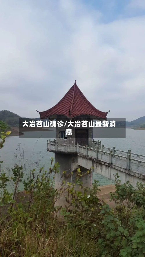 大冶茗山确诊/大冶茗山最新消息-第2张图片