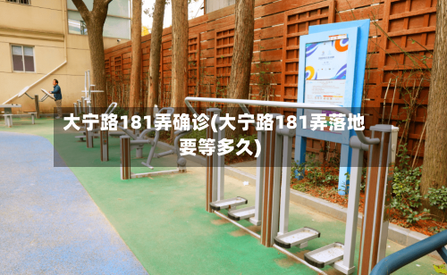 大宁路181弄确诊(大宁路181弄落地要等多久)