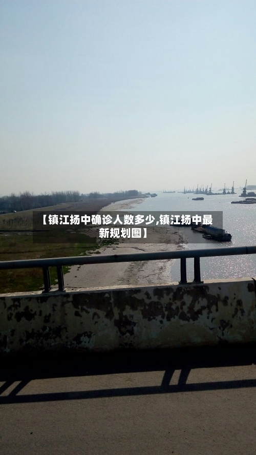 【镇江扬中确诊人数多少,镇江扬中最新规划图】-第2张图片