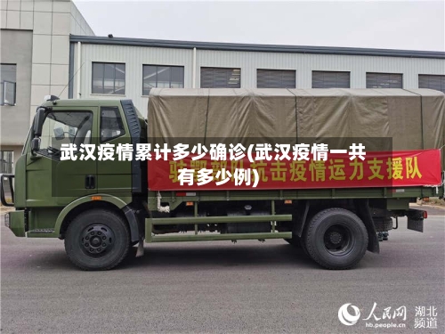 武汉疫情累计多少确诊(武汉疫情一共有多少例)-第2张图片