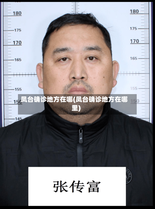 凤台确诊地方在哪(凤台确诊地方在哪里)-第3张图片