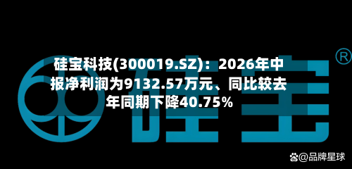 硅宝科技(300019.SZ)：2026年中报净利润为9132.57万元	、同比较去年同期下降40.75%-第2张图片