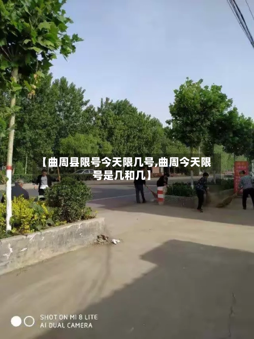 【曲周县限号今天限几号,曲周今天限号是几和几】-第3张图片
