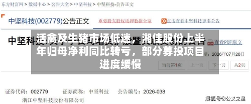 活禽及生猪市场低迷，湘佳股份上半年归母净利同比转亏	，部分募投项目进度缓慢-第2张图片