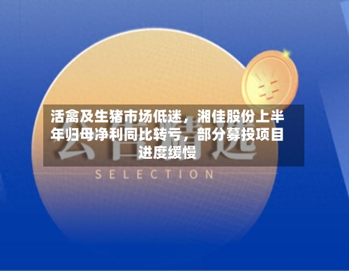活禽及生猪市场低迷	，湘佳股份上半年归母净利同比转亏，部分募投项目进度缓慢-第1张图片