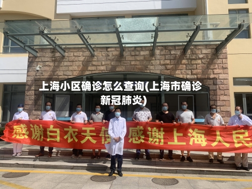 上海小区确诊怎么查询(上海市确诊新冠肺炎)-第2张图片