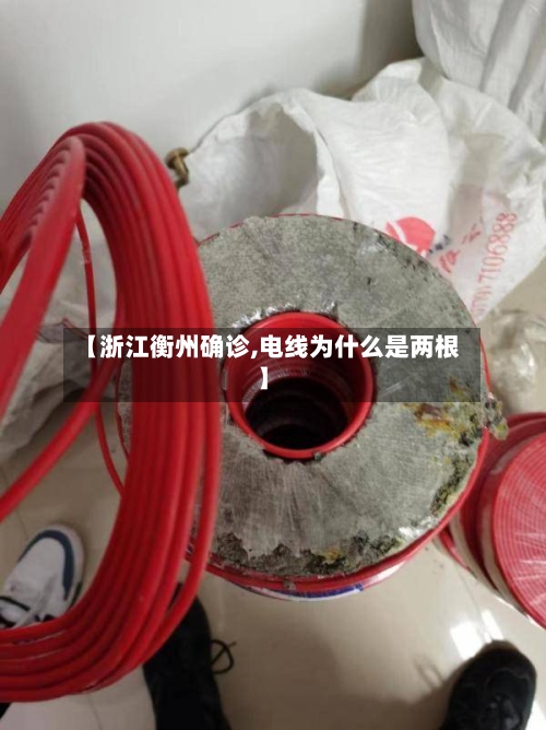 【浙江衡州确诊,电线为什么是两根】-第2张图片
