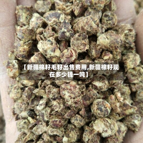 【新疆棉籽毛籽出售费用,新疆棉籽现在多少钱一吨】-第2张图片